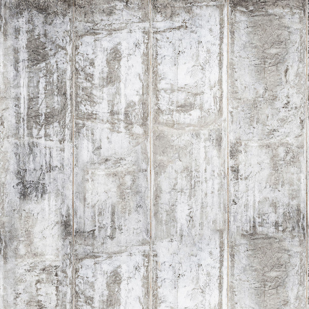 Les Dominotiers Grey Concrete Wall Gris Behang DOM 430