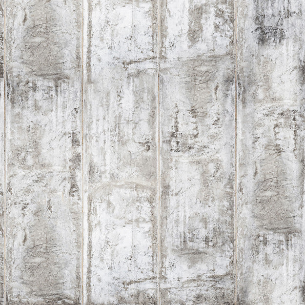 Les Dominotiers Grey Concrete Wall Gris Behang DOM 430