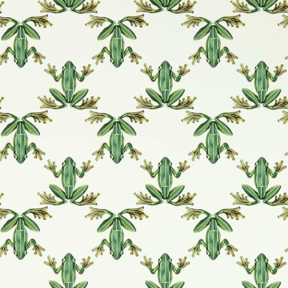 Harlequin Wood Frog Behang 113011 - LAB COLOUR THE WORLD