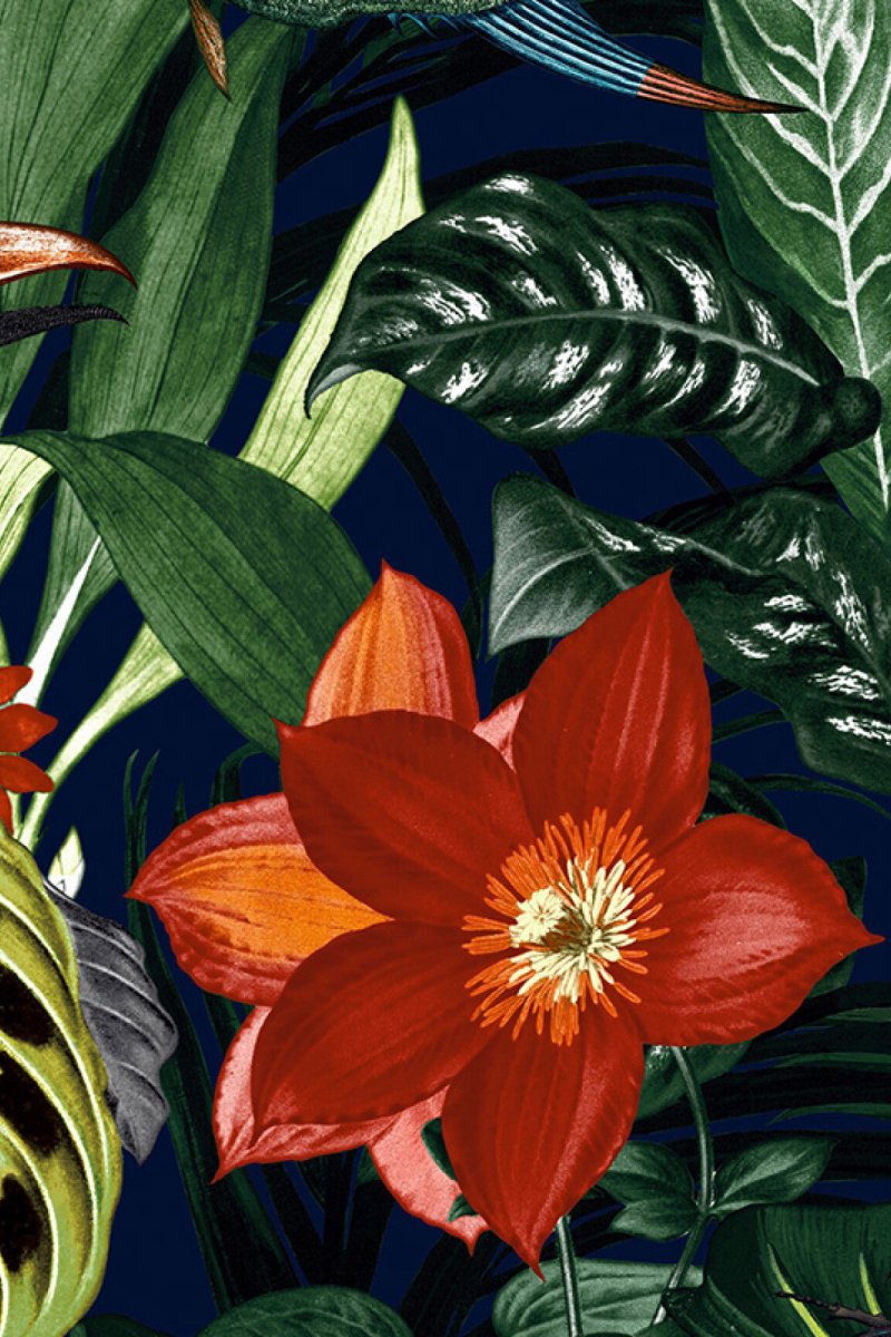 HookedOnWalls Caribbean Palau behang 27225 - LAB COLOUR THE WORLD