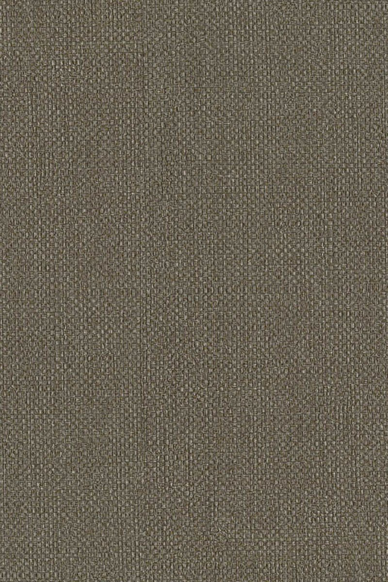 HookedOnWalls Lemuria Baobab behang 60633 - LAB COLOUR THE WORLD
