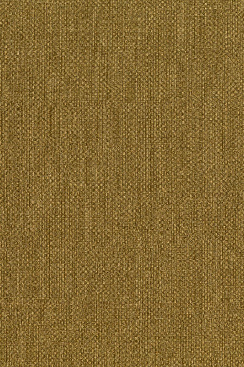 HookedOnWalls Lemuria Baobab behang 60636 - LAB COLOUR THE WORLD