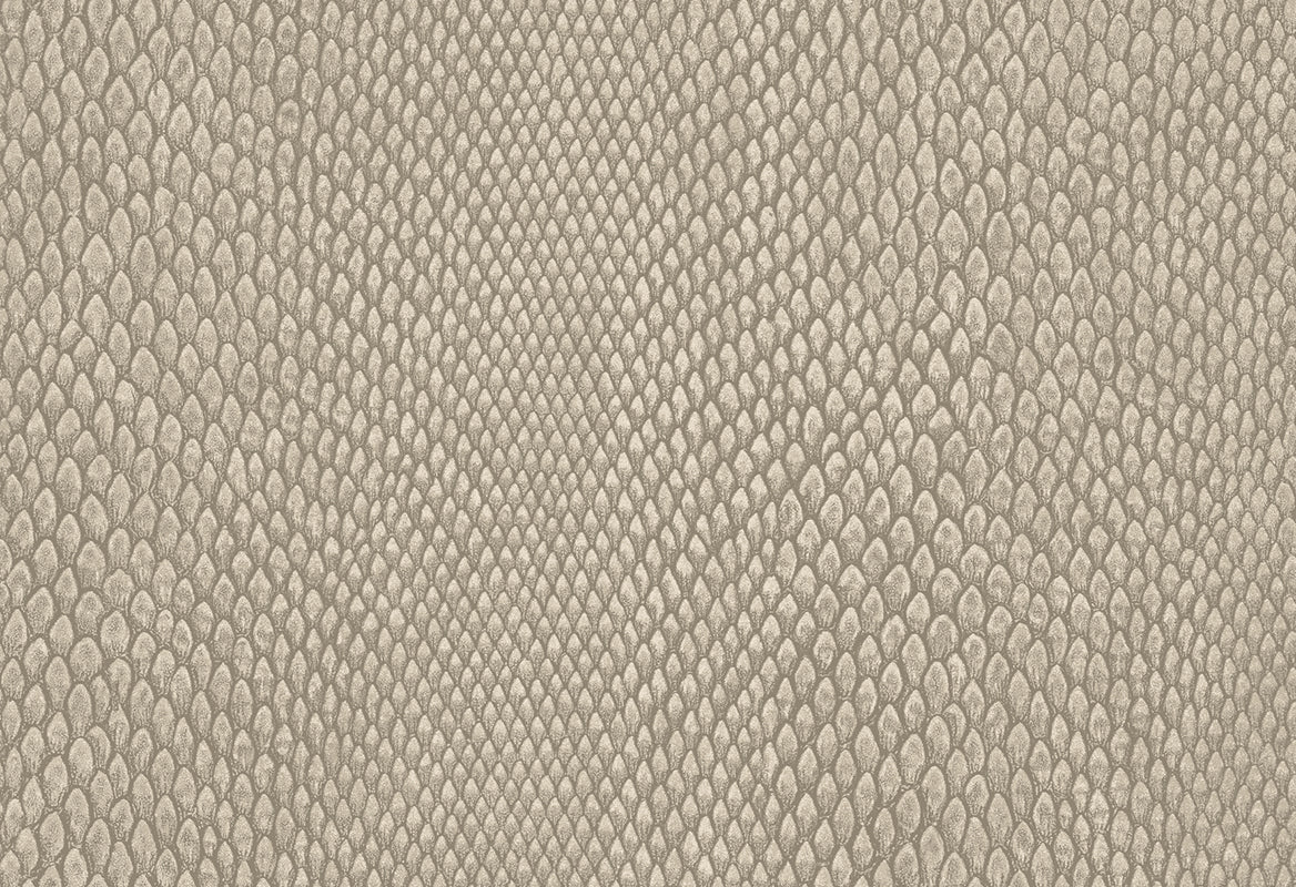 HookedOnWalls Leopard Walk Naja behang 15332 - LAB COLOUR THE WORLD