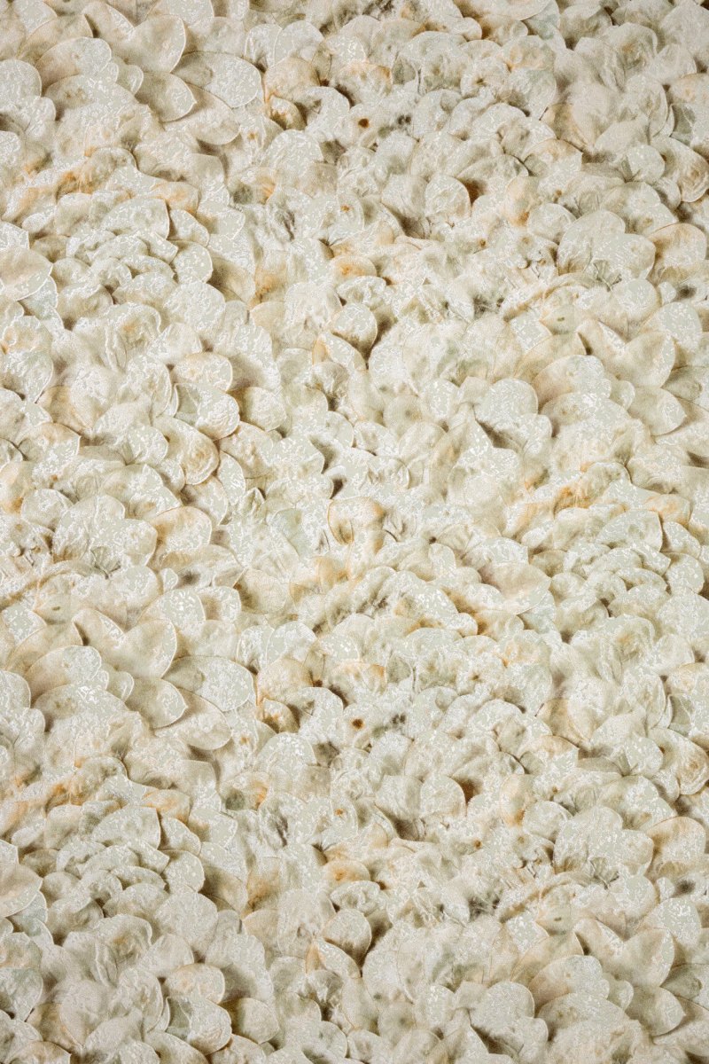 HookedOnWalls Liaison Lunaria behang 46310 - LAB COLOUR THE WORLD