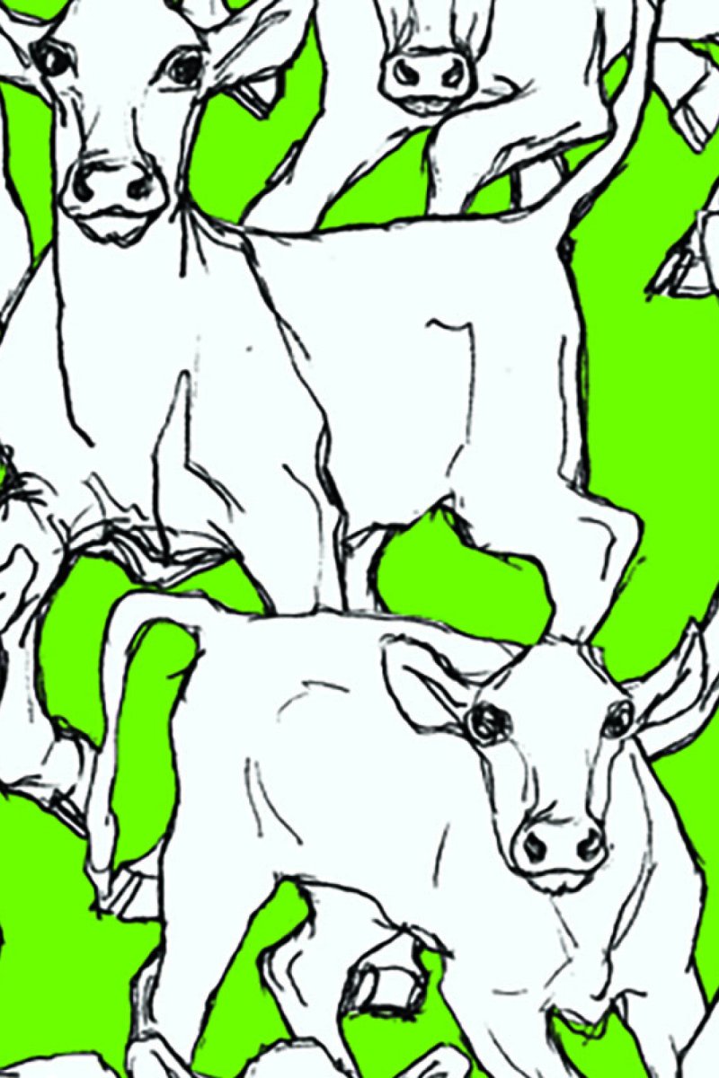 HookedOnWalls Marimekko Volume 05 Iltavilli behang 14105 - LAB COLOUR THE WORLD
