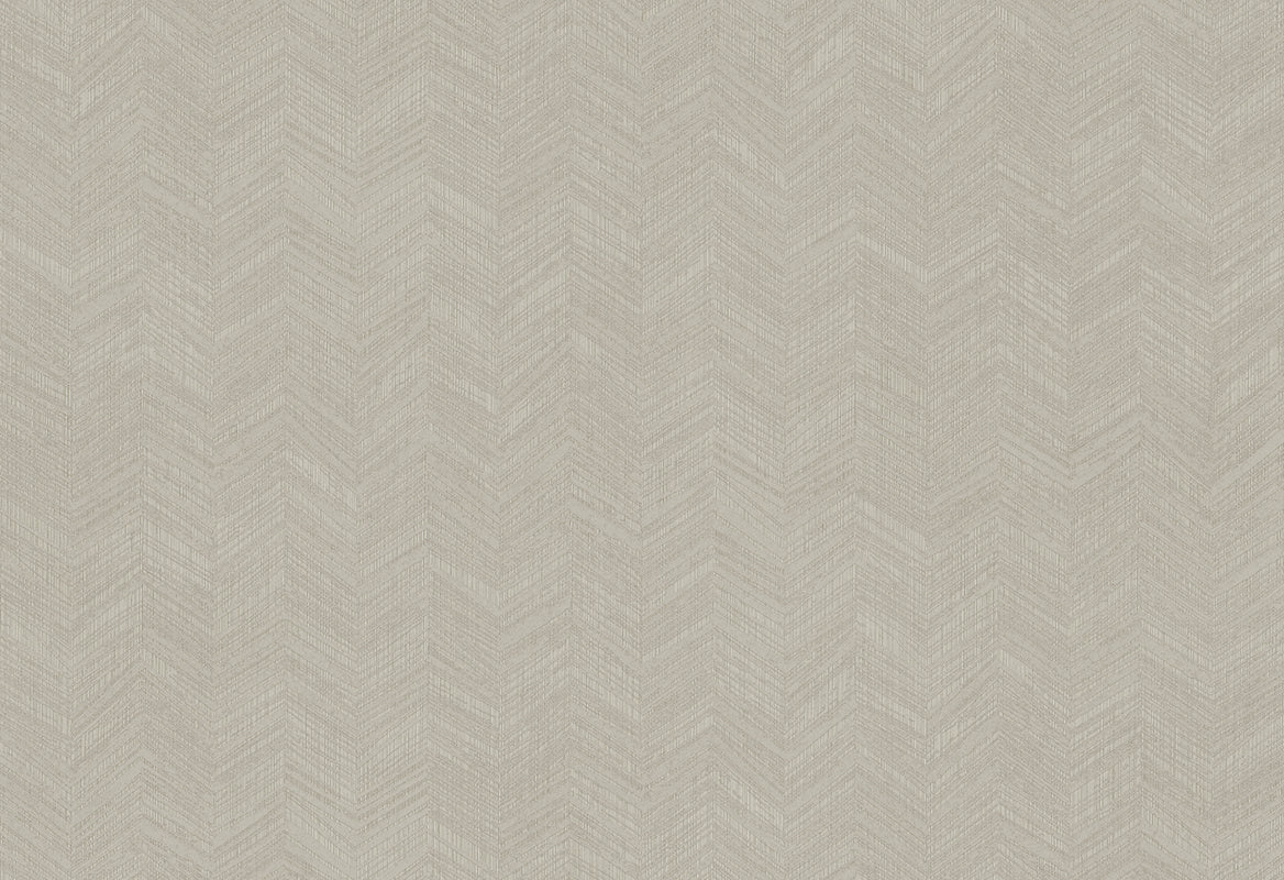 HookedOnWalls New Wave Chevron Simposium behang 24816 - LAB COLOUR THE WORLD