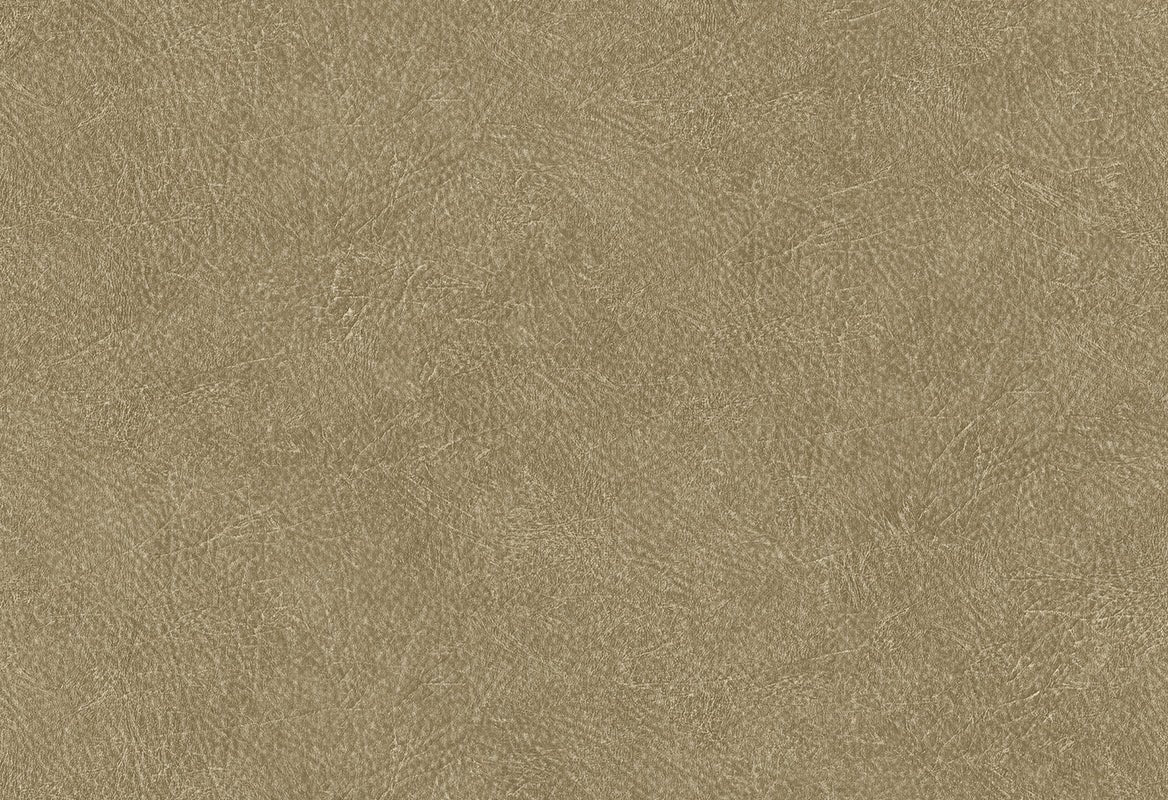 HookedOnWalls Passe Partout 2024 In The Mood behang 89795 - LAB COLOUR THE WORLD