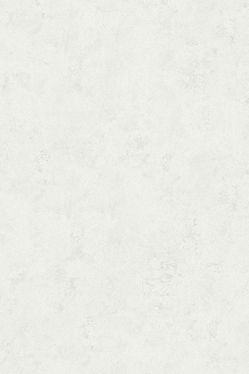 HookedOnWalls Passe Partout 2025 Tone on Tone Tone on Tone behang 4403 - LAB COLOUR THE WORLD