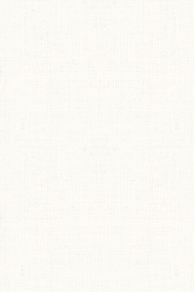 HookedOnWalls Passe Partout 2025 Tone on Tone Tone on Tone behang 4407 - LAB COLOUR THE WORLD