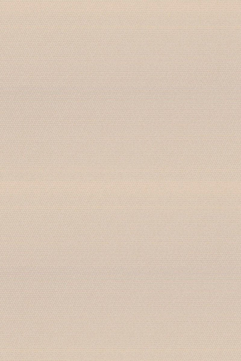 HookedOnWalls Passe Partout 2025 Tone on Tone Tone on Tone behang 4418 - LAB COLOUR THE WORLD