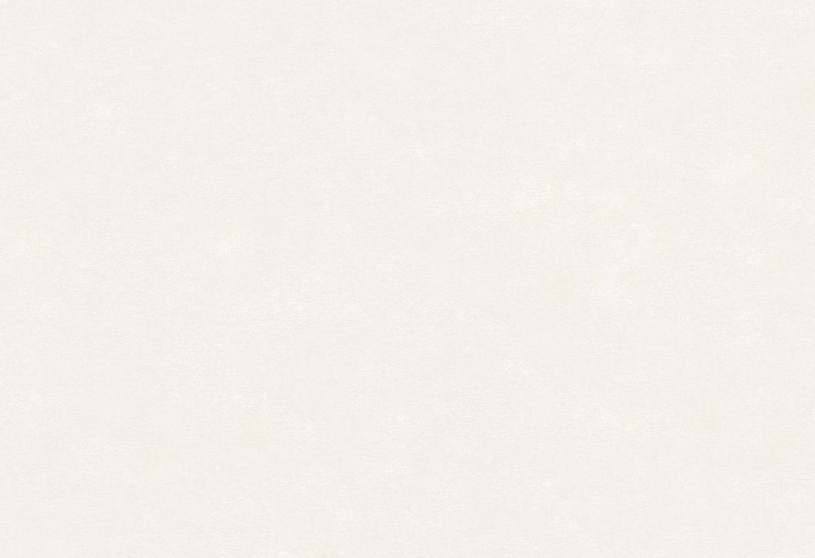 HookedOnWalls Passe Partout 2025 Tone on Tone Tone on Tone behang 4435 - LAB COLOUR THE WORLD