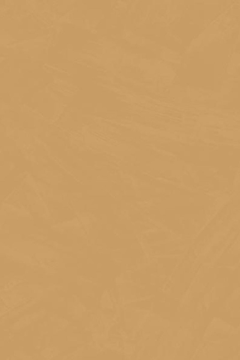 HookedOnWalls Passe Partout 2025 Tone on Tone Tone on Tone behang 4463 - LAB COLOUR THE WORLD