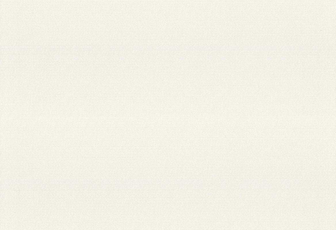 HookedOnWalls Passe Partout 2025 Tone on Tone Tone on Tone behang 4487 - LAB COLOUR THE WORLD