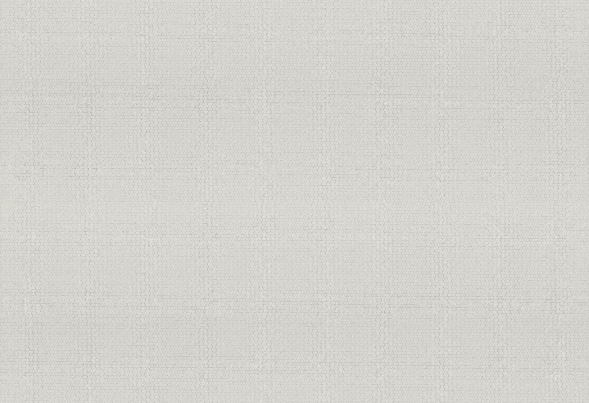 HookedOnWalls Passe Partout 2025 Tone on Tone Tone on Tone behang 4503 - LAB COLOUR THE WORLD
