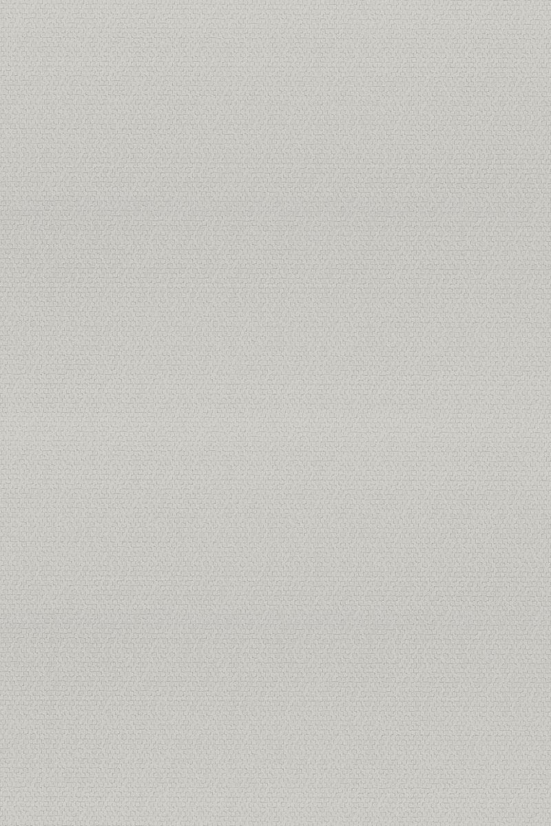 HookedOnWalls Passe Partout 2025 Tone on Tone Tone on Tone behang 4539 - LAB COLOUR THE WORLD