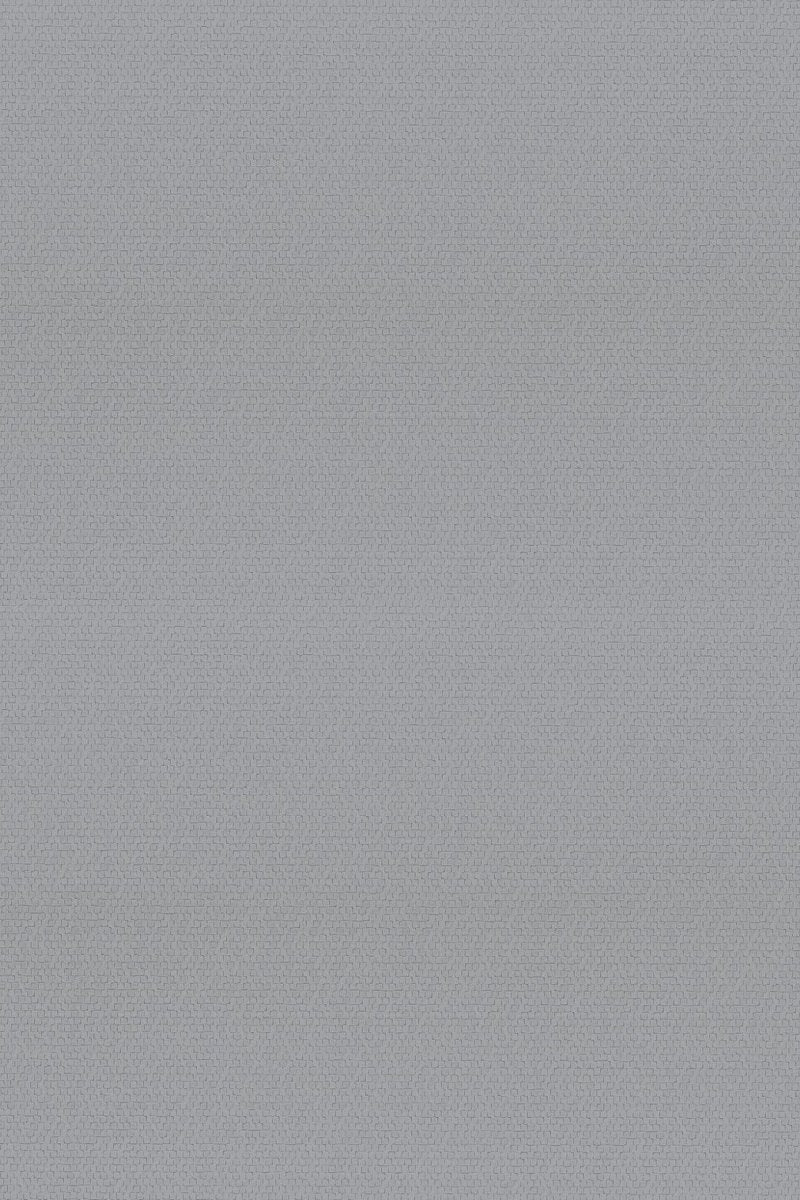 HookedOnWalls Passe Partout 2025 Tone on Tone Tone on Tone behang 4545 - LAB COLOUR THE WORLD