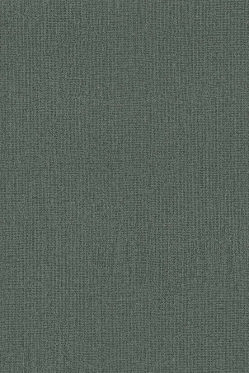 HookedOnWalls Passe Partout 2025 Tone on Tone Tone on Tone behang 4561 - LAB COLOUR THE WORLD