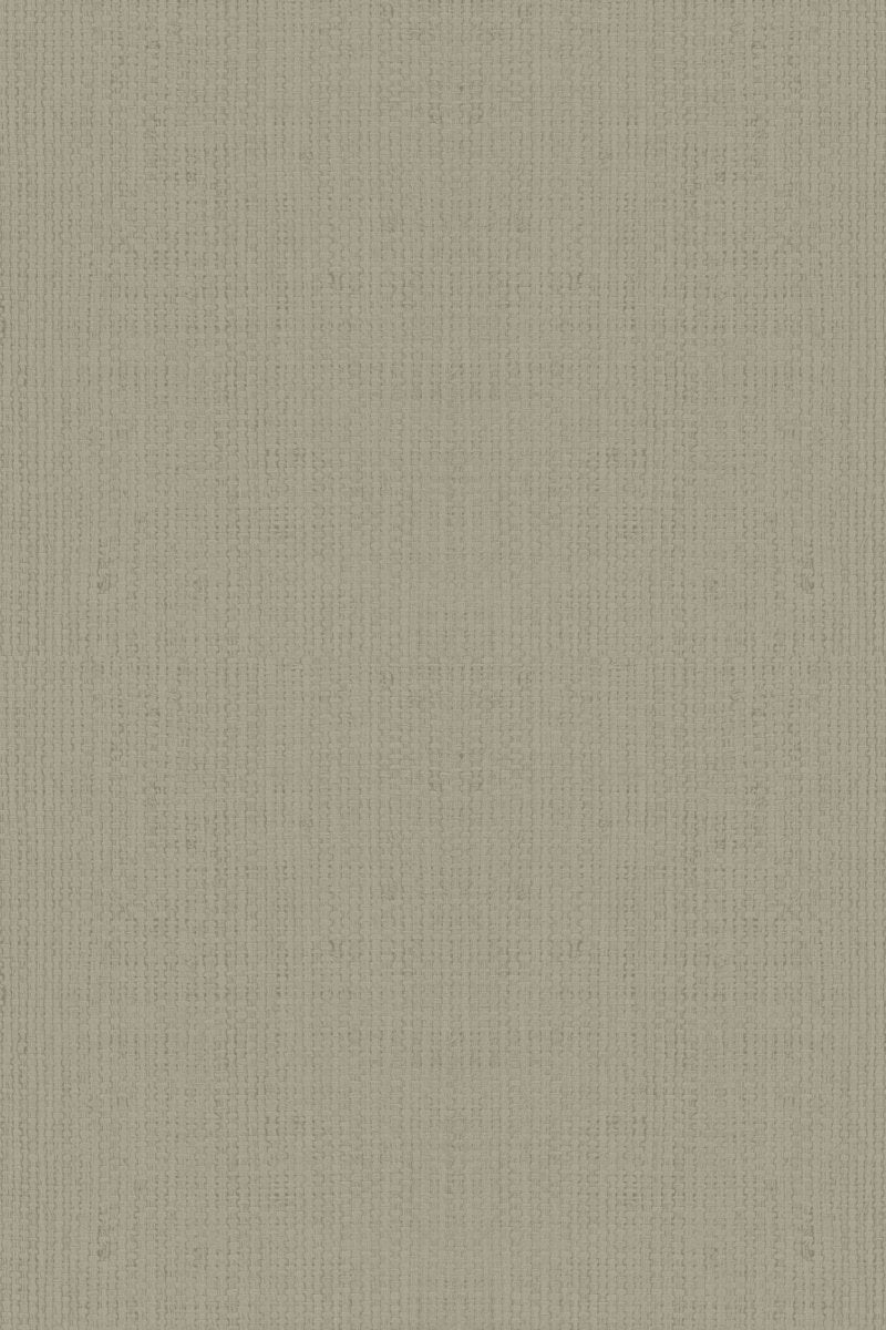 HookedOnWalls Passe Partout 2025 Tone on Tone Tone on Tone behang 4572 - LAB COLOUR THE WORLD