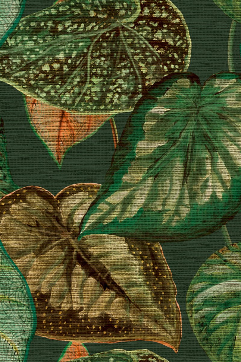 HookedOnWalls Tahiti Tropical leaves behang TA25054 - LAB COLOUR THE WORLD