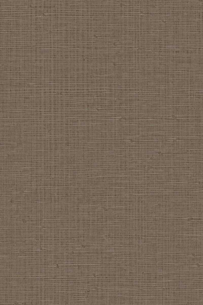 HookedOnWalls Tribu (By HW) Dinka 29355 - LAB COLOUR THE WORLD