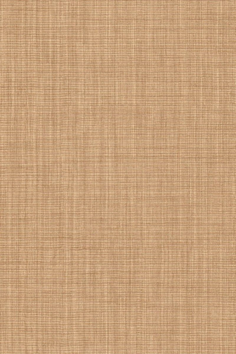HookedOnWalls Tribu (By HW) Nuba 29321 - LAB COLOUR THE WORLD