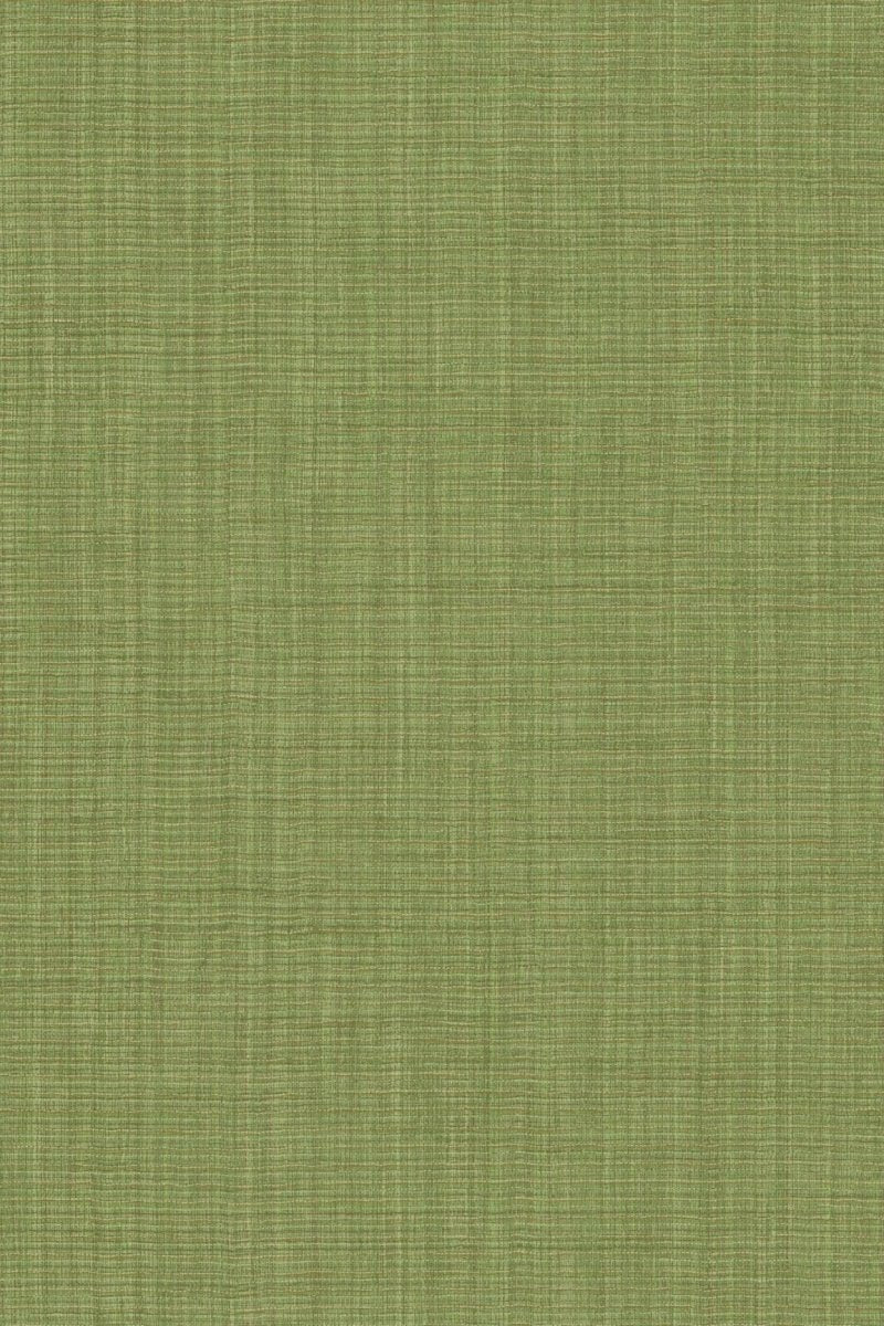 HookedOnWalls Tribu (By HW) Nuba 29326 - LAB COLOUR THE WORLD