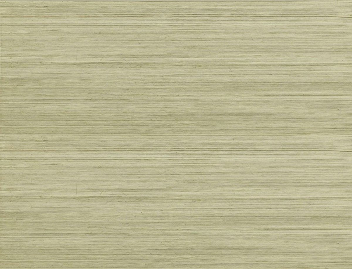 Jim Thompson Strie Sisal Behang JT021039001 - LAB COLOUR THE WORLD