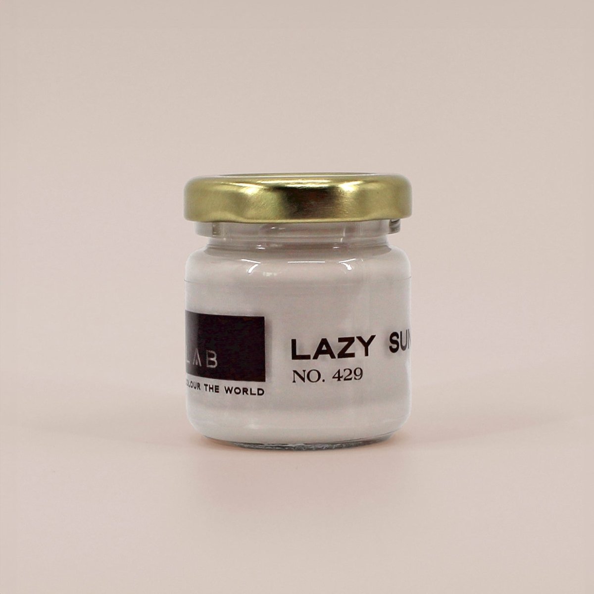 LAZY SUNDAY NO. 429 - LAB COLOUR THE WORLD