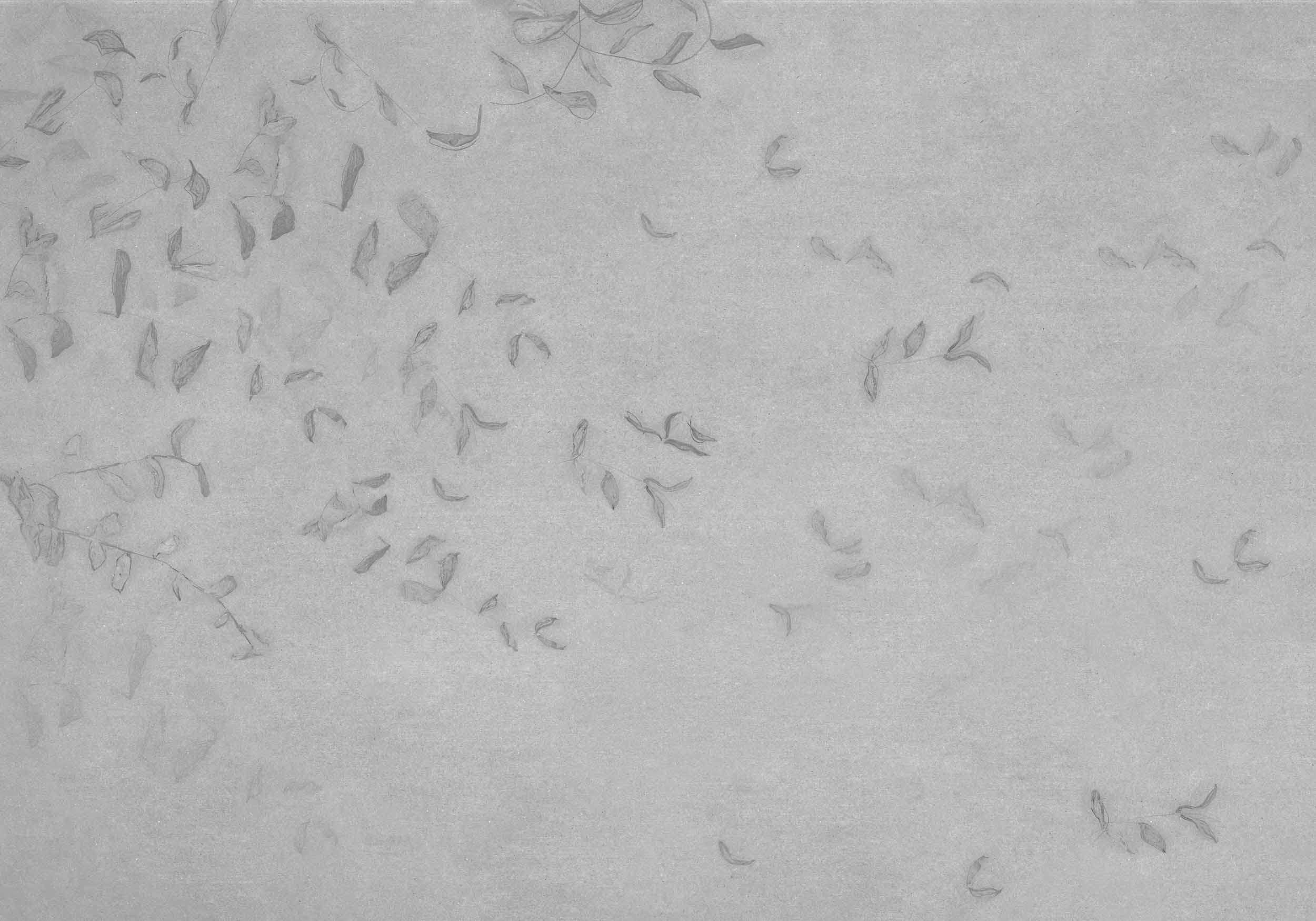 Coordonné Central Saint Martins – Rest Time Leaves reflection behang A00941 behang afbeelding 1