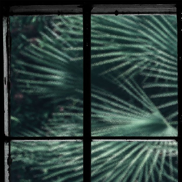 Les Dominotiers Tropical Window Vert Behang DOM 435 - LAB COLOUR THE WORLD