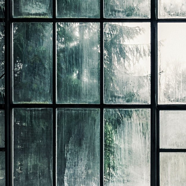 Les Dominotiers Window Factory Vert Et Blanc Behang DOM 436 - LAB COLOUR THE WORLD