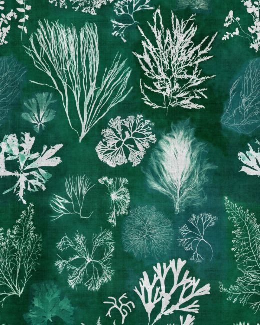 Mind The Gap Algae Moss Behang WP20296 - LAB COLOUR THE WORLD