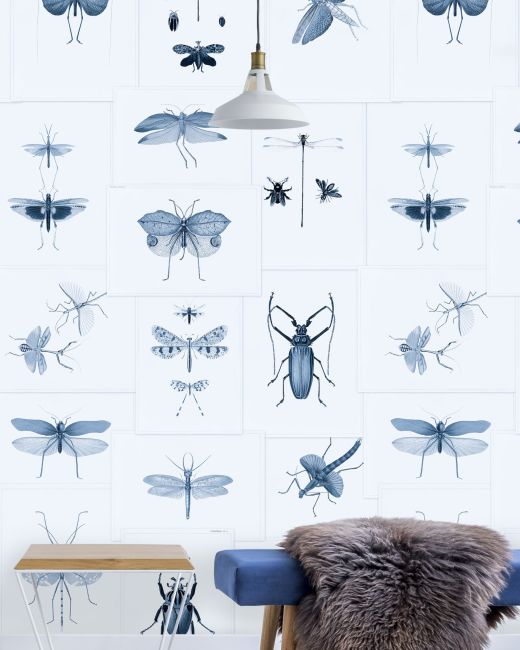 Mind The Gap Entomology Blue Behang WP20235 - LAB COLOUR THE WORLD
