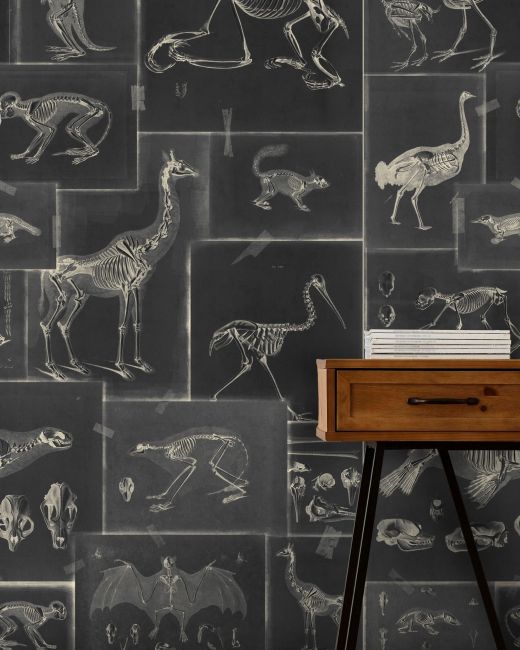 Mind The Gap Zooarchaeology Anthracite Behang WP20237 - LAB COLOUR THE WORLD