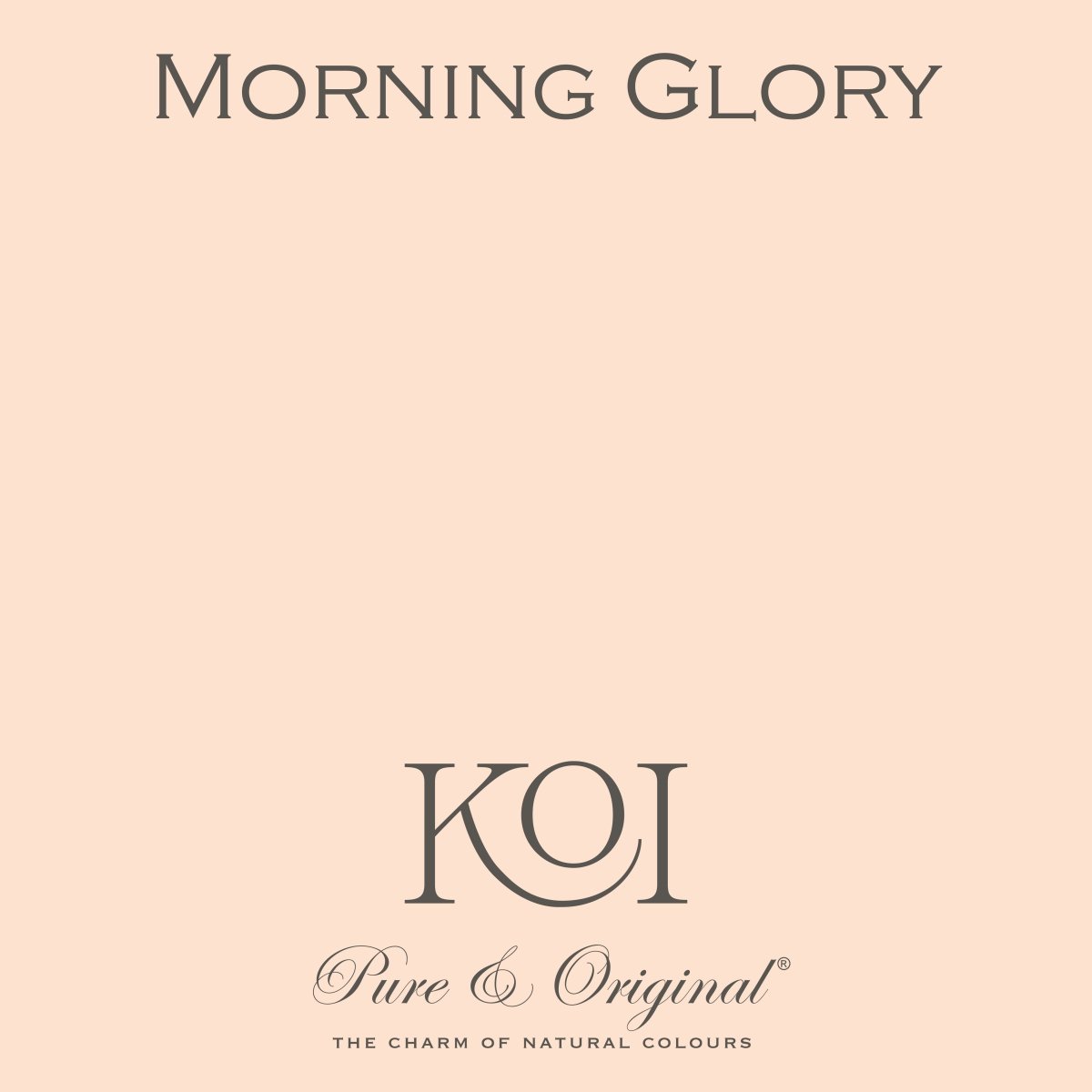 Morning Glory - LAB COLOUR THE WORLD