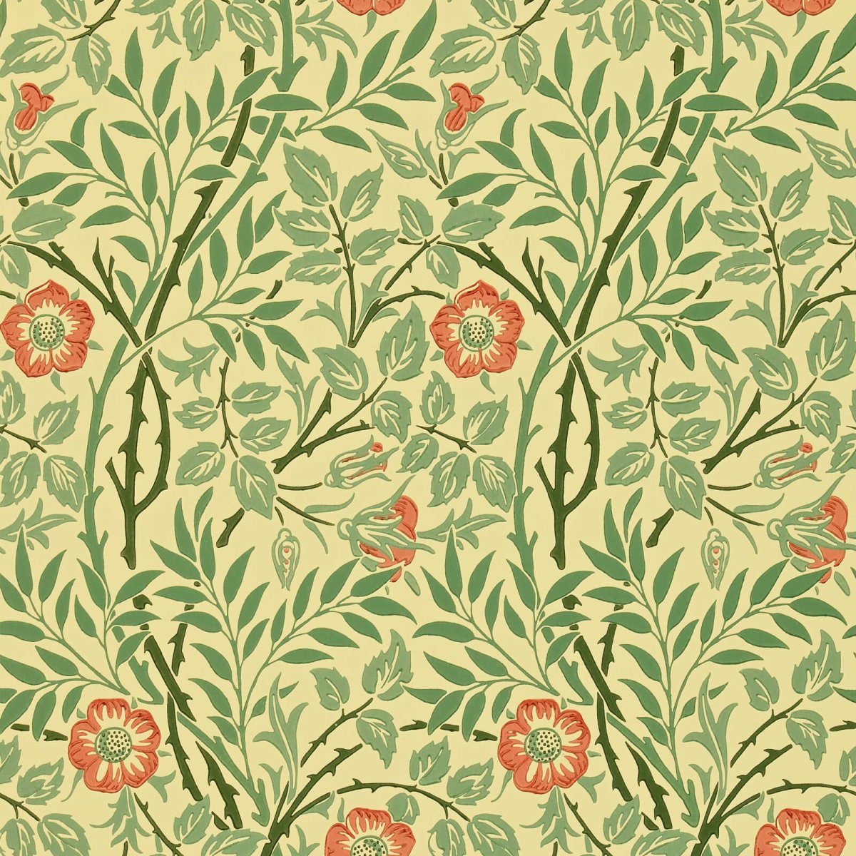 Morris & Co. Sweet Briar Behang 130101 - LAB COLOUR THE WORLD