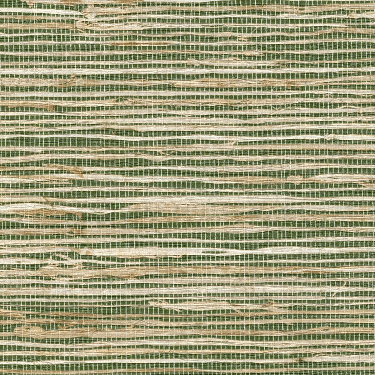 ÉLITIS Madagascar Arrowroot Raw Raffia Behang VP 1050 61