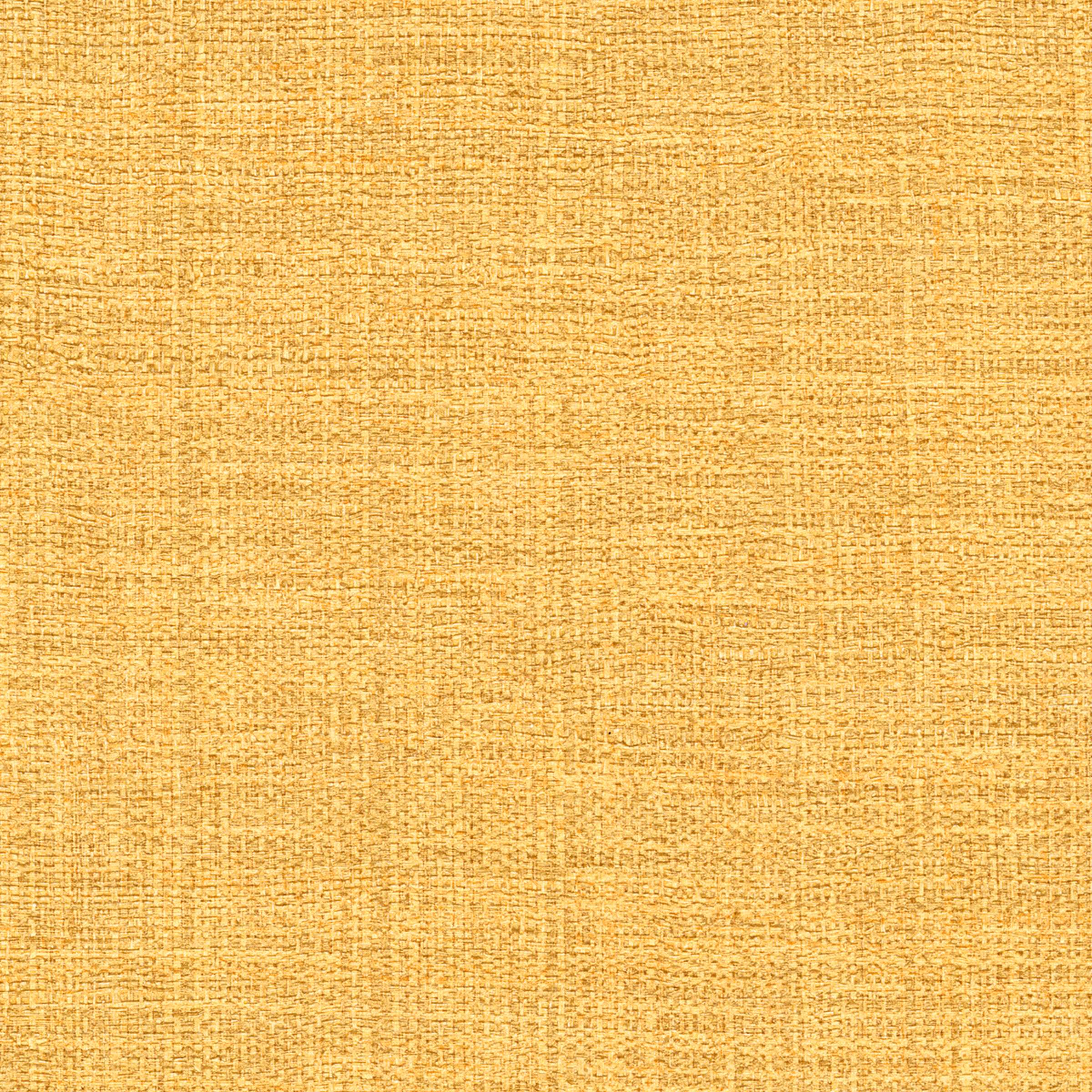 ÉLITIS Madagascar Arrowroot Raw Raffia Behang VP 731 22 - Une toison d'or