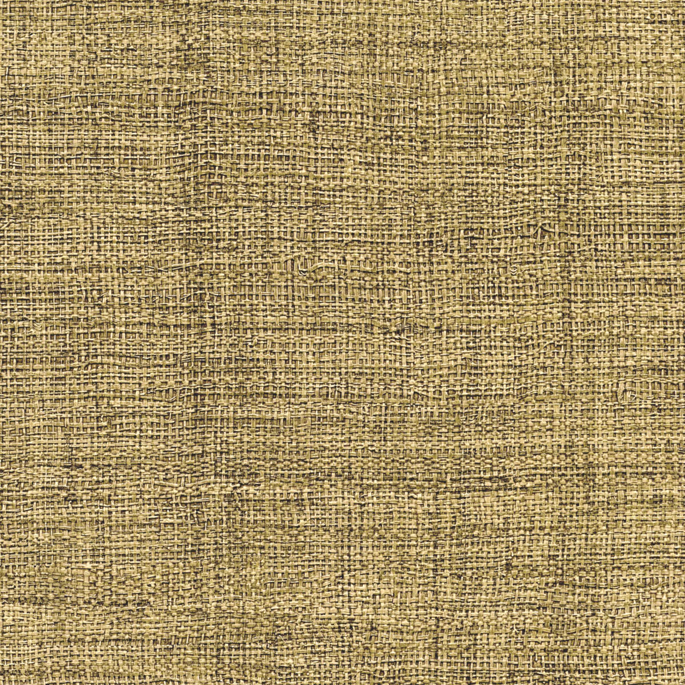 ÉLITIS Madagascar Arrowroot Raw Raffia Behang VP 731 40 - Tout un raffinement