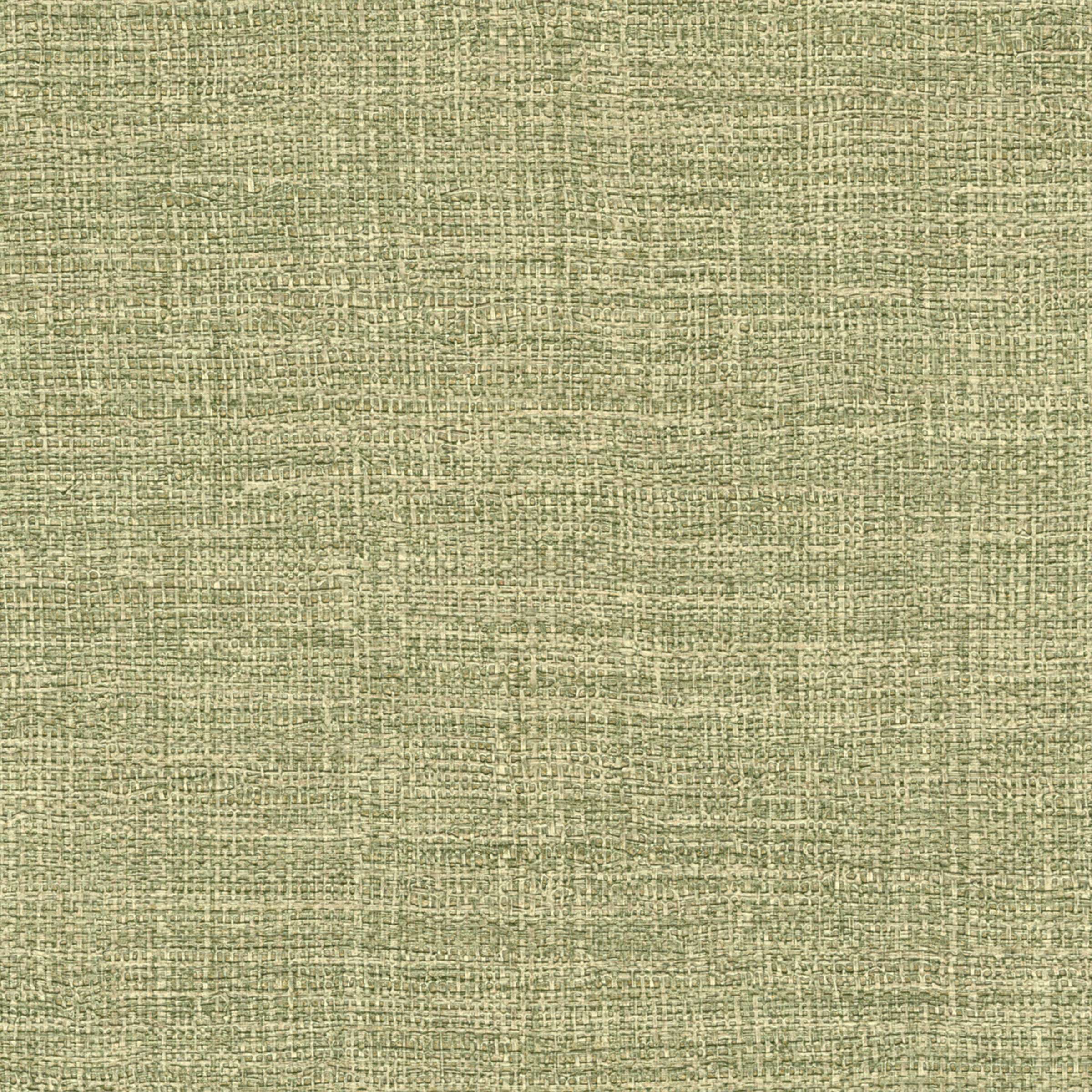 ÉLITIS Madagascar Arrowroot Raw Raffia Behang VP 731 61 - Le chant des cigales