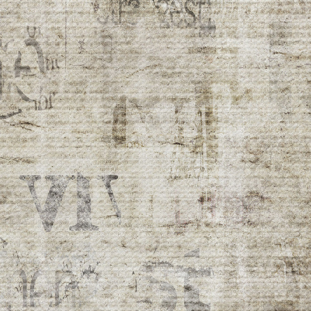Les Dominotiers Newspaper Grunge Patina Beige Behang DOM 420