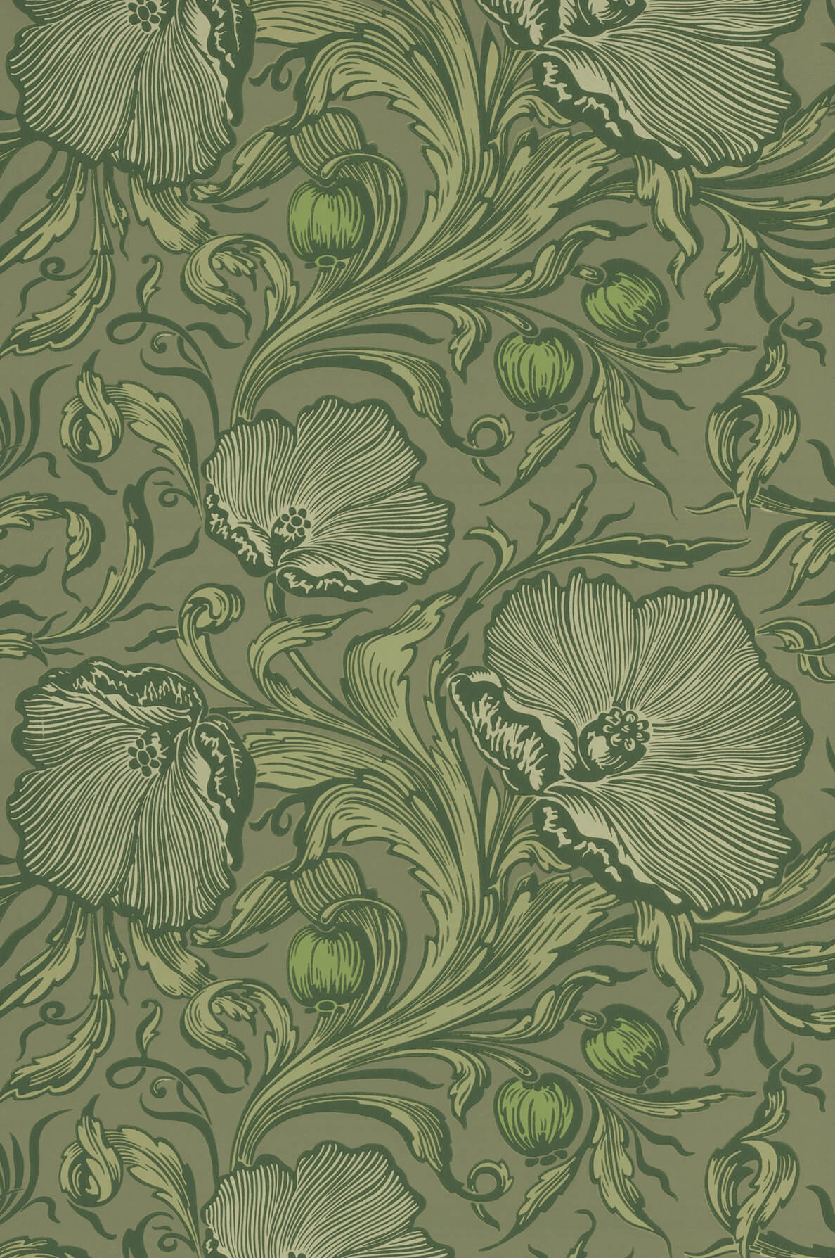 Little Greene Poppy Trail Behang 0263PTSAGEG - LAB COLOUR THE WORLD