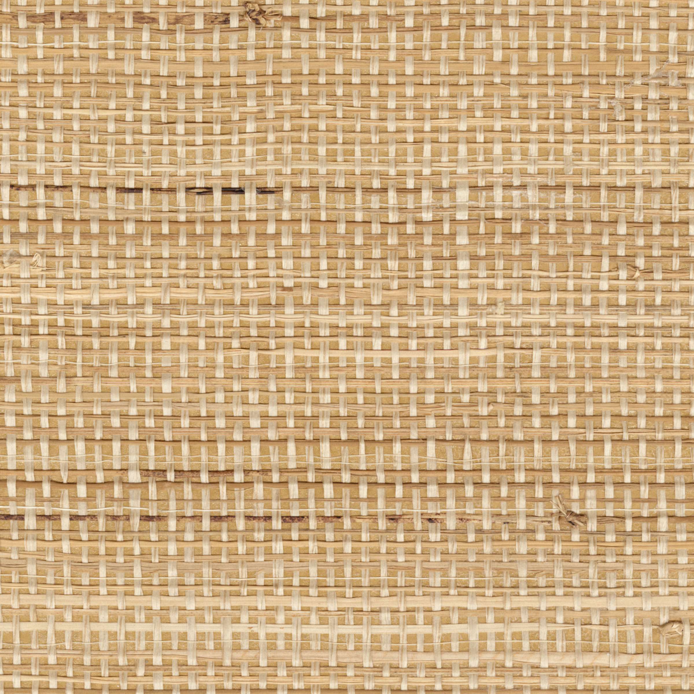 ÉLITIS Origine Rama La simplicité du naturel Behang RM 1133 04