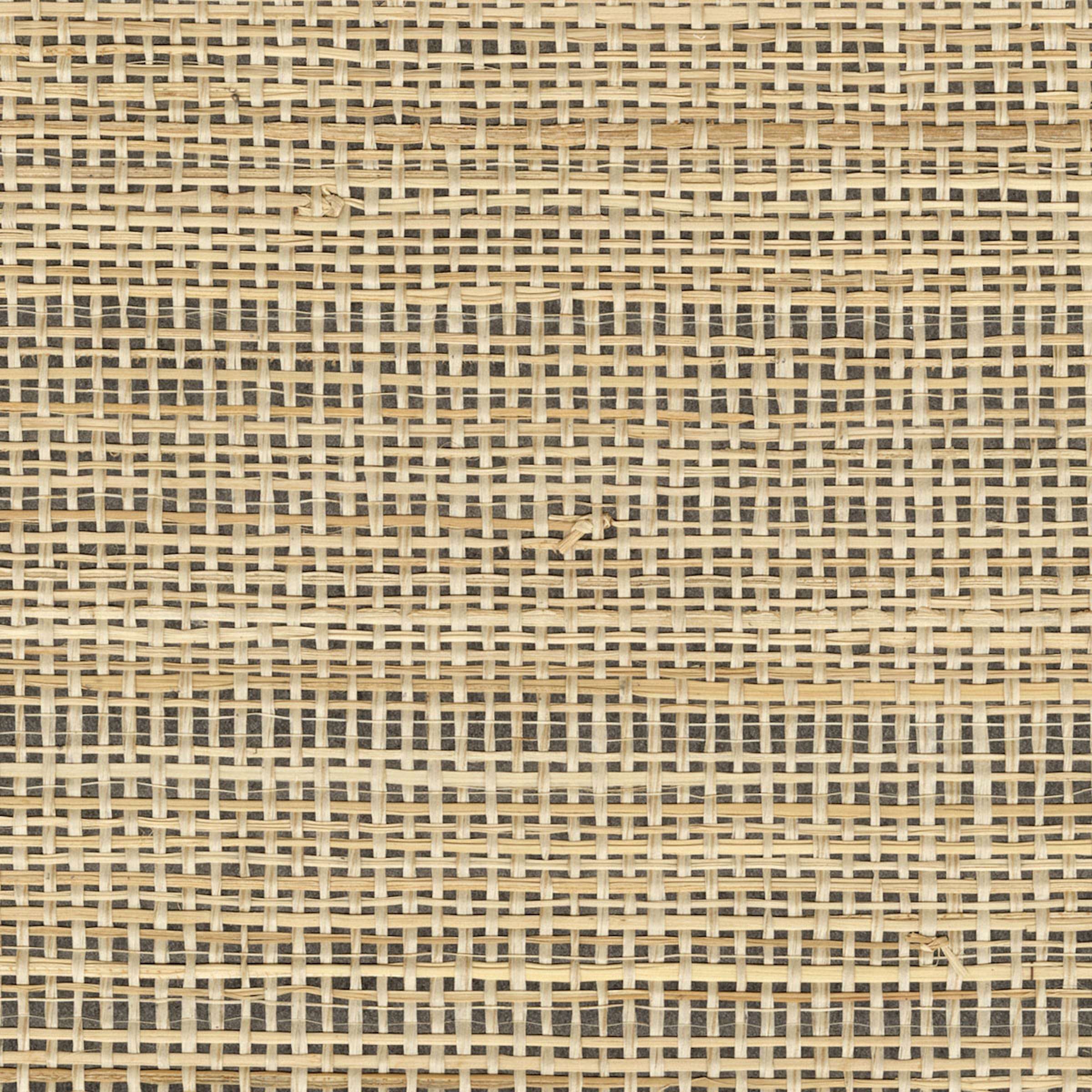 ÉLITIS Origine Rama Une beauté désinvolte Behang RM 1133 80