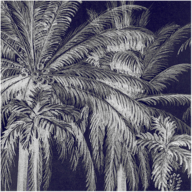 Les Dominotiers Palm Grove, Midnight Behang DOM 310-2