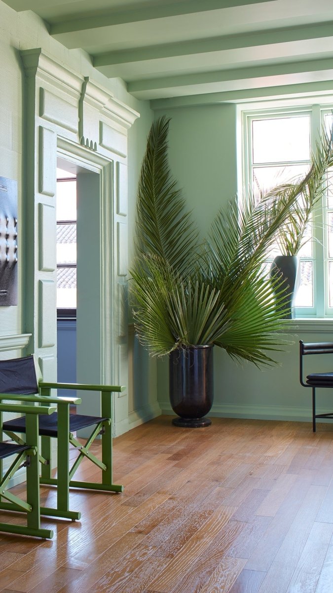 Palm No. CC4 - LAB COLOUR THE WORLD