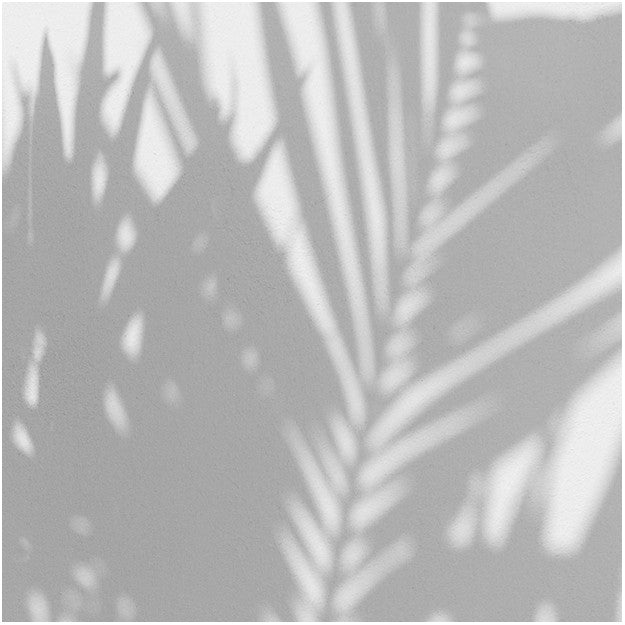 Les Dominotiers Palm Shadow Behang DOM 148