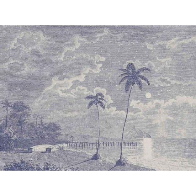 Les Dominotiers Palmar, Midnight Behang DOM 308-1