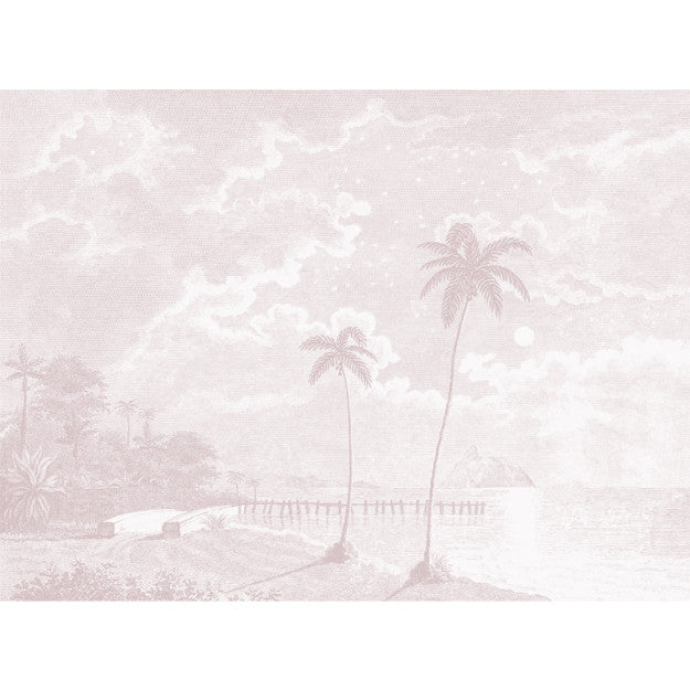Les Dominotiers Palmar, Pink Behang DOM 308-2