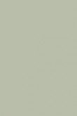 Pigeon no. 25 - LAB COLOUR THE WORLD